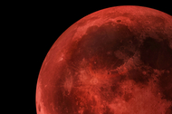 Picture of a blood moon on a dark sky.