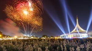 Firework at night in a park in Bangkok, Thailand