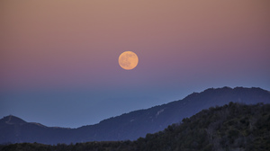 Photograph of a golden full moon rising above forested mountains in a gradient blue to purple to pink sky. 